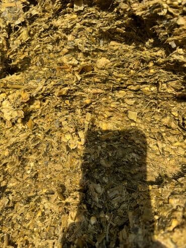 возьму собаку даром: Продаю силос высшего качества Мелкого дробления с зернами Адрес село — 4