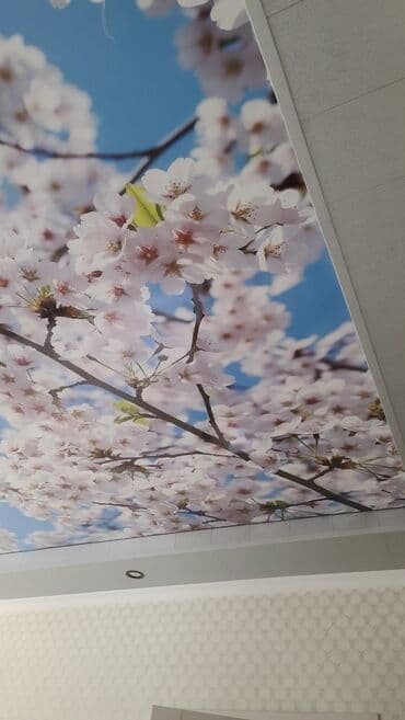 потолок пластик: Натяжной потолок 3D потолки Бесплатный замер — 2