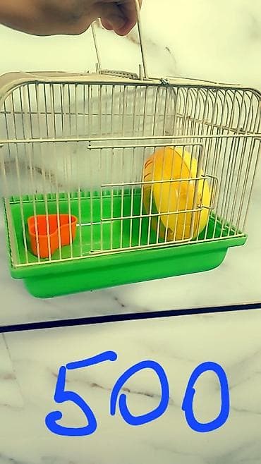 мал сатам: Продаю клетки для хомячков от 500 до 1700 сом. и самих хомячков — 2