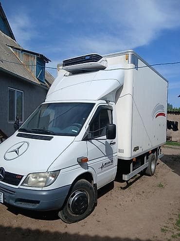 210 cdi: Рефрижераторный фургон на базе Mercedes-Benz Sprinter (CDI, задний — 3