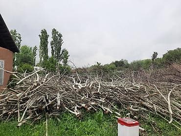 пластиковые изделия: Дрова Тополь, Самовывоз — 5