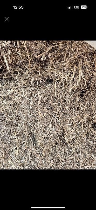 ветеринар бишкек: Продается Сенаж из чистого клевера. Убирали кормоуборочным комбайном — 1