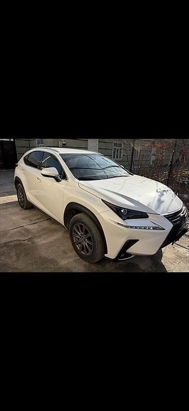 bvd e2: Lexus NX: 2019 г., 2 л, Автомат, Бензин, Кроссовер — 1