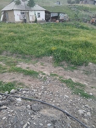 уч: Продаётся участок с действующим сельскохозяйственным хозяйством — 2