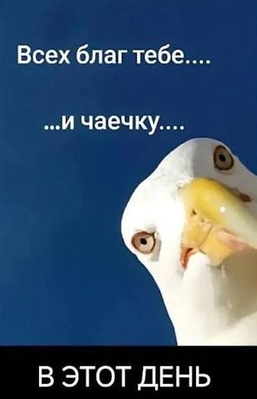 Склад: Требуется Электрик, Оплата: Ежемесячно, Без опыта — 1