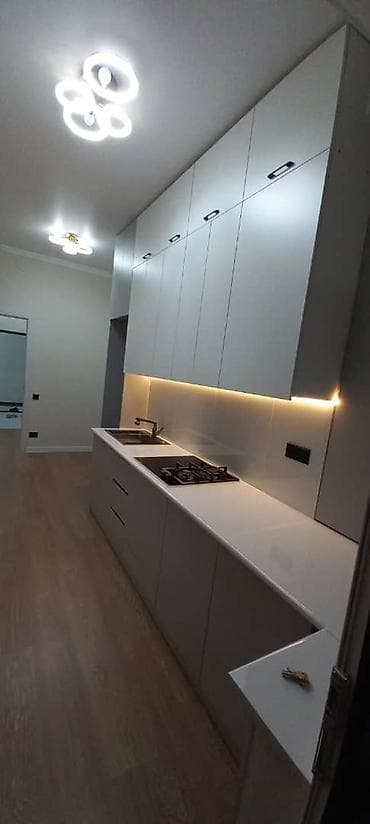 Недвижимость: 1 комната, 55 м², Элитка, Технопарк Элитка, 13 этаж, Евроремонт — 1