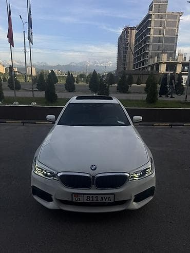 BMW: BMW 5 series: 2019 г., 2 л, Автомат, Бензин, Седан — 9
