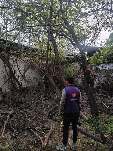 котенок отдам даром: Продаю дрова длядома и печки. много. отдам за 10 000с или Портер — 5