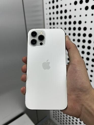 IPhone 12 Pro Max, 256 ГБ, Серебристый