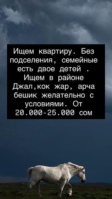 Ишу квартиру желательно со всеми умловиями🙏🏻 сумма от 20.000 до 25.000