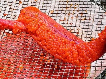 Декор и интерьер: Икра форели скупаю звоните по ватсап пишите — 3