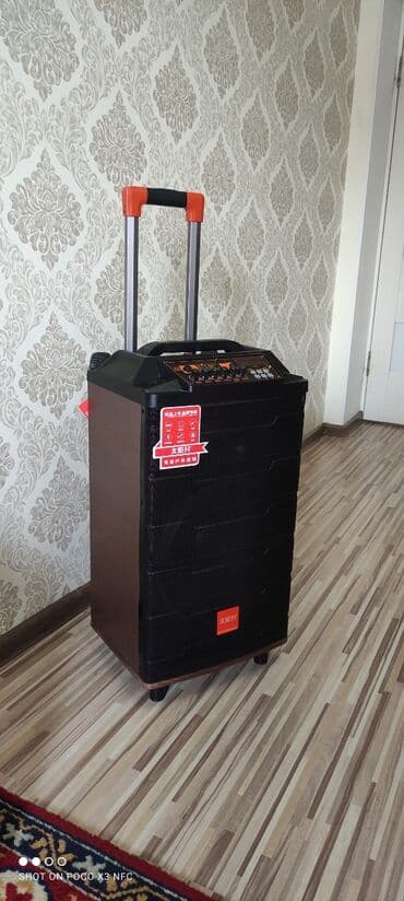 рупор купить бишкек: Отличный звук, состояние почти новое! Подходит для свадеб, юбилеев — 3