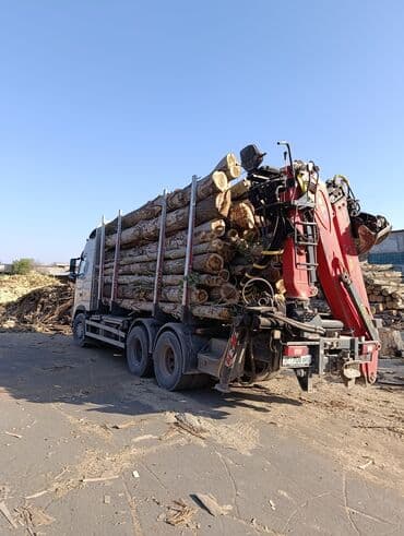 дрова тополь: Куплю тополь - Порода: берёза - Формат: цельные бревна, очищенные от — 2