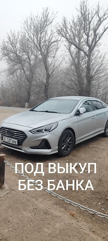 сиденья саната: Hyundai Sonata: 2018 г., 2 л, Автомат, Газ, Седан — 1