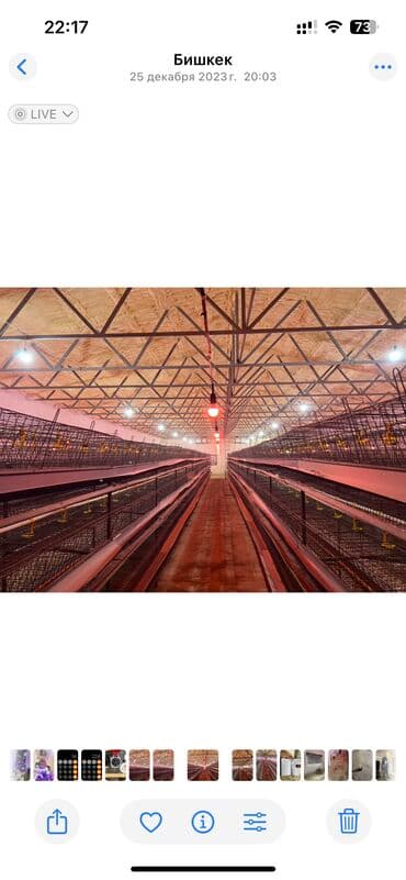 Продаю или меняю клетки для кур несушек на 5280 мест комплектующие