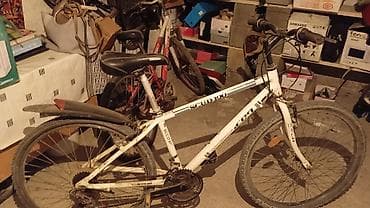 lexus 600: Горный велосипед, Рама M (156 - 178 см), Сталь — 1