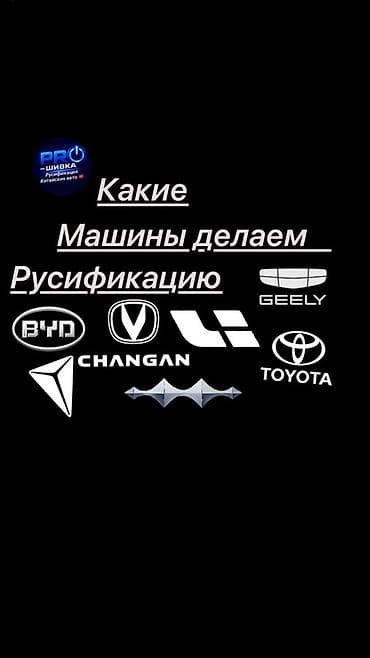 таблетка калесо: Полики Для салона BYD — 5