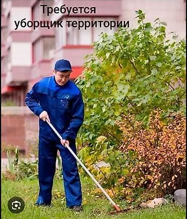 открыть замки: Уборка территории — 1