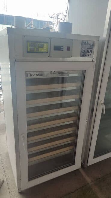 купить несушек курей: Инкубатор для яиц 220в. 2 больших шкафа . основной и — 4