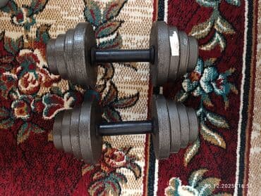 Велозапчасти: Гантели — 1