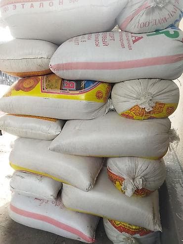 Продаю ячмень цена 25 сома в мешках зерно крупное полное можно на
