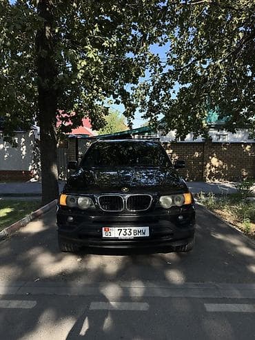 BMW X5: 2002 г., 3 л, Автомат, Дизель, Кроссовер — 2