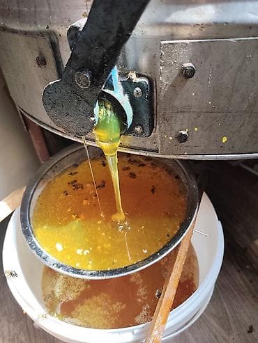 малина токмок: Горный и полевой мёд из Кыргызстана — 100% натуральный продукт — 2