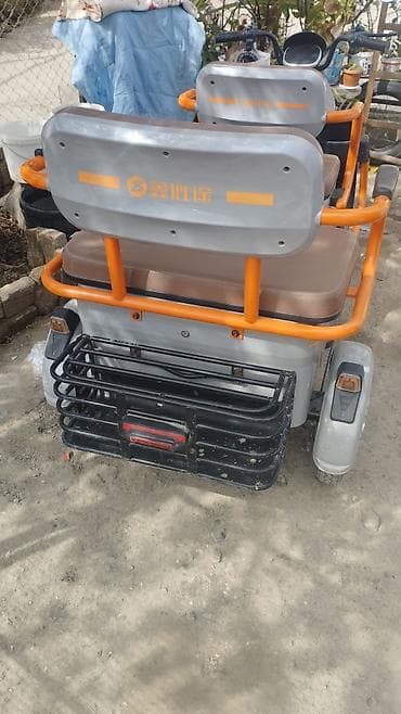 forester sf: Электрический трехколесный скутер-пассажирский - Компоновка два — 4