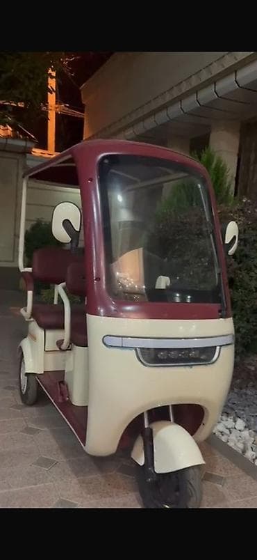 электро баги: Электрический трёхколёсный рикша-карт для пассажирских поездок - — 1