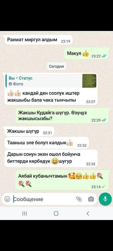 Аксессуары: 🍀 Эн алгачкы жолу Кыргызстандын тарыхында 2019-жылы бит -сиркеге — 7