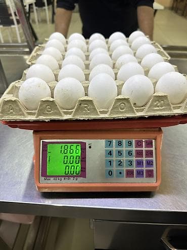 сөөл жан: Яйца. Бишкек#Нарын#Ысык-Кол#Кант#Токмок#Кара-Балта#Сокулук — 6