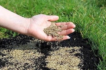 кап мешок: Газонная смесь DLF Seeds & Science - Профессиональные семена для — 4