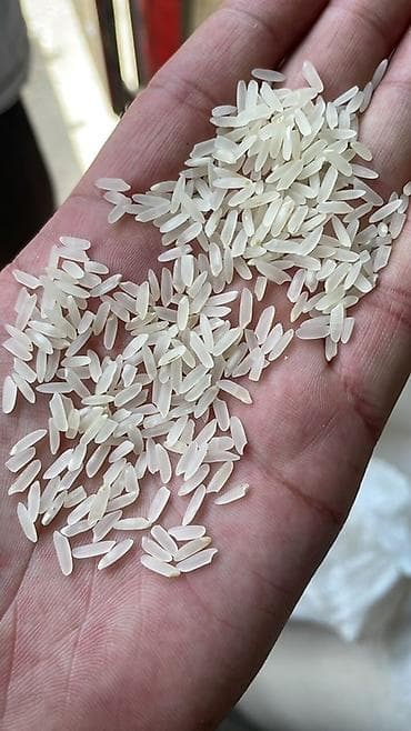 баткенский рис: 🌾 Тошкент гуруч — дастурхонингиз учун энг яхши танлов! 🍚 Сифатли — 2
