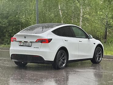 Tesla: Tesla Model Y: 2023 г., 0.1 л, Вариатор, Электромобиль, Кроссовер — 6