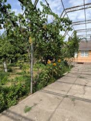 продаю дом бер булак: Дом, 1441 м², 8 комнат, Собственник — 18