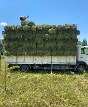 тез арада: Продаю сено 
Мощный тюк
Осталось 25 тюков — 1