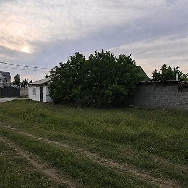 куйукова: 4 соток, Для строительства, Красная книга — 3
