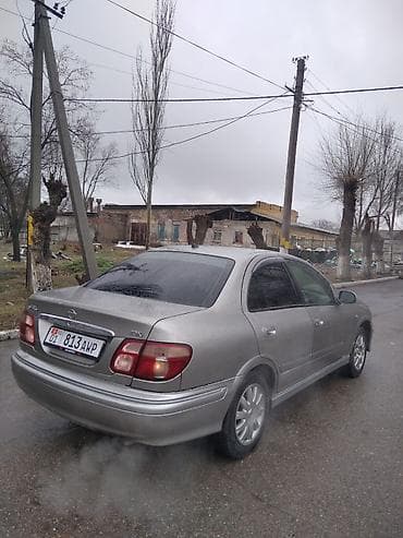 suzuki lets: Nissan Bluebird: 2002 г., 2 л, Автомат, Бензин, Седан — 5
