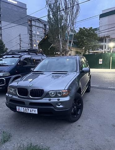 BMW X5: 2004 г., 3 л, Автомат, Дизель, Внедорожник