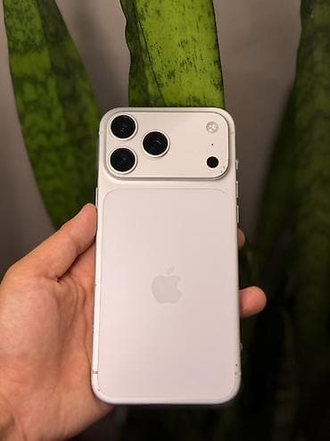 beeline sim: IPhone 17 Pro Max, Б/у, 256 ГБ, Серебристый, 100 % — 1