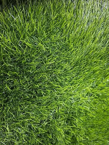 Строительные леса, стойки: Искусственная трава в рулонах - Покрытие рулонное, насыщенно‑зеленого — 3