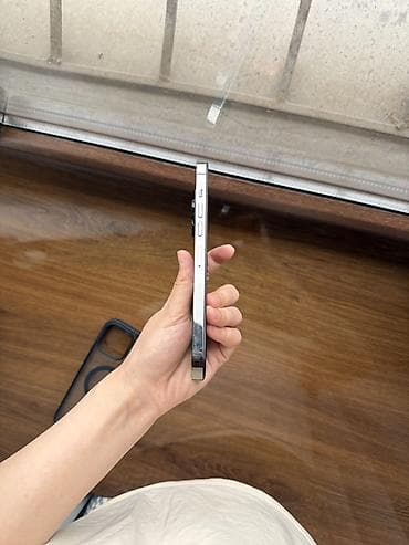 аифон 13: IPhone 13 Pro Max, Б/у, 1 ТБ, Графит, Чехол, 85 % — 3