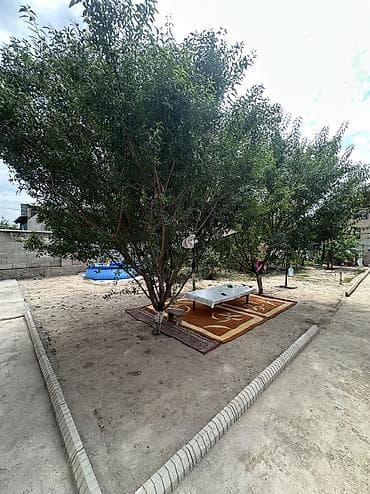 Продажа домов: 🏡 Продается уютный дом в ж/м Ала-Тоо! Если вы мечтаете о собственном — 3