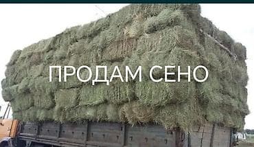 Сено в тюках Всего 800 штук - Натуральная луговая трава, спрессованная
