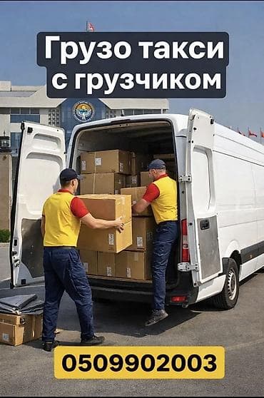 кен булун: Буйрутма берүү Мерседес жүк ташуучу спринтер, Көчүү, Жүк ташуучу жумушчусу менен — 1