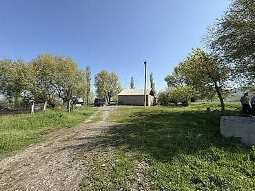 Сарай сатылат Беловодскийдин усту жагында алма бактары бар алдында