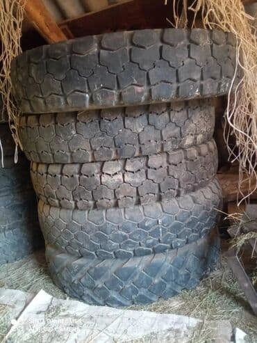шины бишкек дордой: Предлагаются к продаже шины для различных видов техники. На — 19