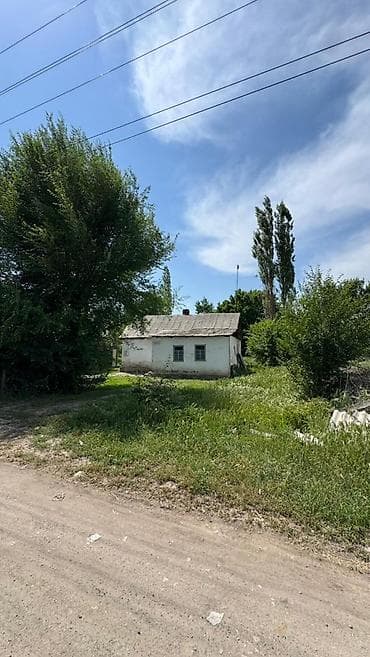 15 соток, Курулуш, Кызыл китеп — 4