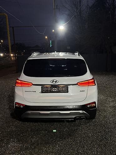 вмв 39: Hyundai Santa Fe: 2019 г., 2 л, Автомат, Дизель, Кроссовер — 5