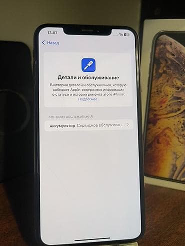 mx 3: IPhone Xs Max, Серебристый, Коробка — 7